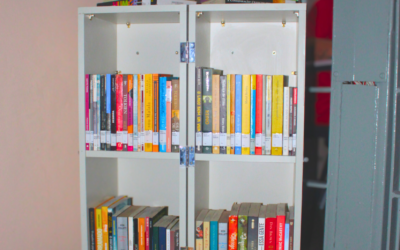 Caixa-Estante da Biblioteca Pública do Estado de Minas Gerais é lançado na PPP