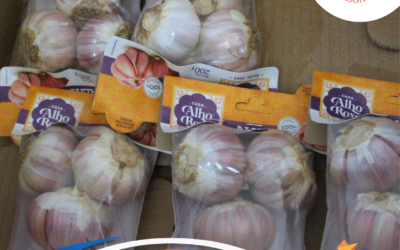 Alho Roxo – Empresa Parceira recebe Selo Resgata
